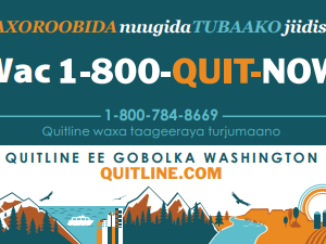 Blue and orange card with illustration of mountains and the ocean and the Washington state quitline number - in Somali