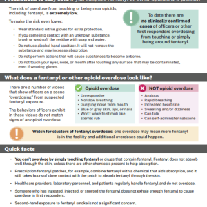 Front side of factsheet showing the title and easy-to-read text in digestible blocks. Title is Responding to Suspected Fentanyl or Other Opioids in Jails: It's Safe to Assist