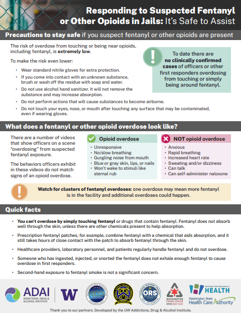 Front side of factsheet showing the title and easy-to-read text in digestible blocks. Title is Responding to Suspected Fentanyl or Other Opioids in Jails: It's Safe to Assist