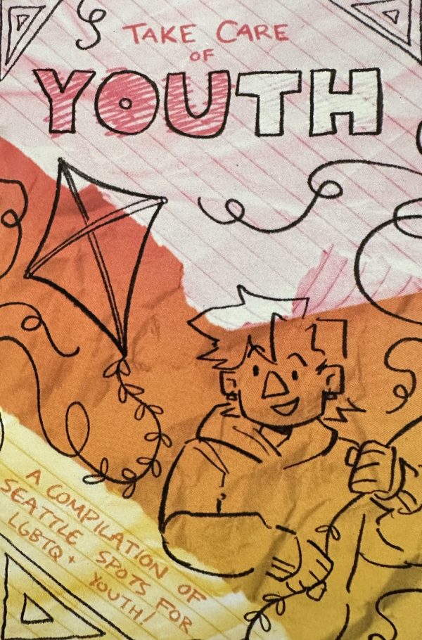 Colorful pink, orange, and yellow cover with an illustration of a person holding a kite and the text Take Care of Youth at the top